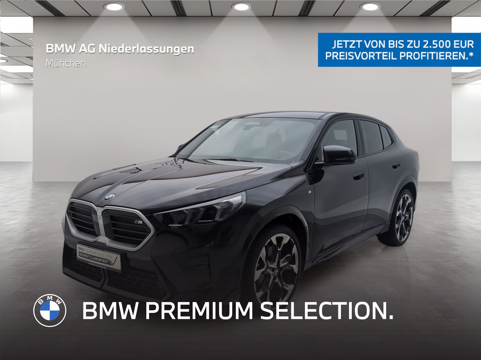 BMW X2 - Bild 1