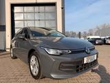 Volkswagen Golf VIII Lim. 2.0 TDI Goal ACC Kamera LED App