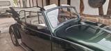 Volkswagen Käfer - Volkswagen Käfer: Grün