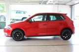 Skoda Fabia Monte Carlo Rückfahrkamera - Skoda Fabia: R