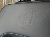 Ford Bronco - Vorschau Bild 28