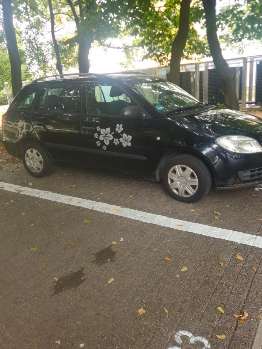 Skoda Fabia 2009 — photo 6