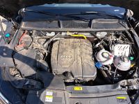 Audi Q5 - Vorschau Bild 23