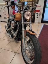 Harley-Davidson Sportster XL 1200 Low  105th Anni  orig. 1750Km - Angebote