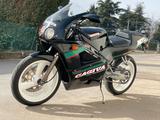 Cagiva Mito 125 "ASI - ORIGINALE" - CAGIVA VON 81 BIS 125 CCM