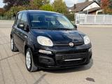 Fiat Panda Easy/Eu6/Klima/City/1-Hnd/60000Km - Fiat Panda: Eu