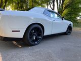 Dodge Challenger - Dodge Challenger aus 2019