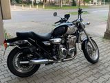 Triumph Thunderbird 900 T309RT  - Angebote entsprechen deinen Suchkriterien