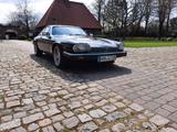 Jaguar XJS - Jaguar Gebrauchtwagen von 1985