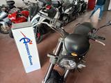 Benelli Leoncino 500 - BENELLI LEONCINO 500