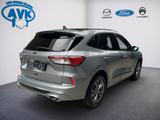 Ford Kuga Plug-In Hybrid ST-Line X mit Winterpaket - Ford Kuga mit Gas-Antrieb