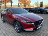 Mazda CX-30 2.0-X AWD Leder Bose Matrix-LED AHK Select - Mazda CX-30 Gebrauchtwagen