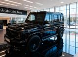 Mercedes-Benz G 63 AMG Mercedes-AMG G 65 Edition 463 Editi... - Mercedes-Benz E65 AMG