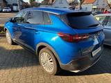Opel Grandland 1,2 Innov. AT/el. Heckkl./LED/AHK - blaue Opel Grandland (X)