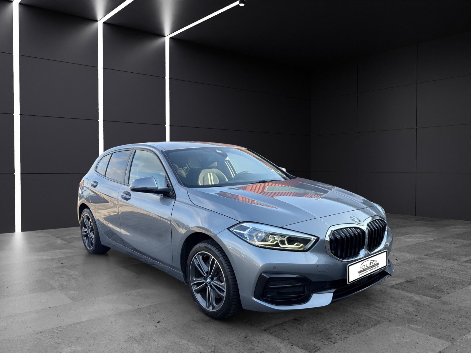 Fahrzeugabbildung BMW 116 i Sport Line/Winter Paket/Performance/Tempo