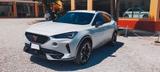 Cupra Formentor 2.0 TDI 4Drive DSG - Behindertengerechte Cupra Formentor