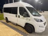 Fiat Minibus/ Ducato 9 posti - Minibus gebraucht
