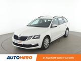 Skoda Octavia 1.0 TSI Ambition *PDC*SHZ*TEMPO*KLIMA* - Skoda Octavia Gebrauchtwagen in Köln