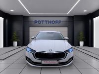 Skoda Octavia - Vorschau Bild 8