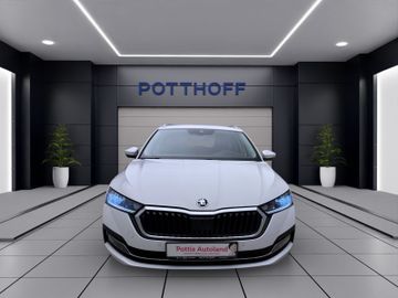 Skoda Octavia - 8