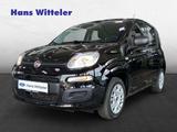 Fiat Panda Easy 1.2L 1. Hand / Klimaanlage/Bluetooth - Fiat Panda: Schwarz