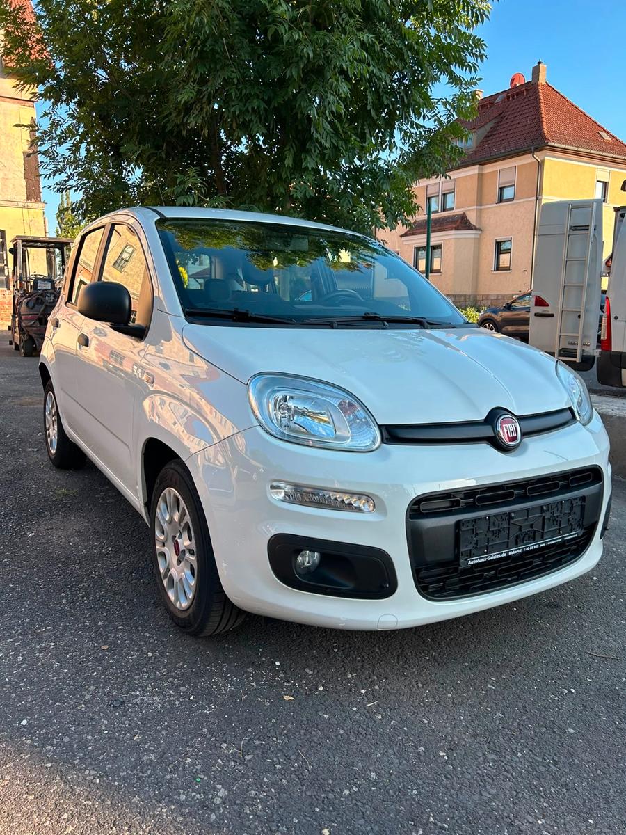 Fiat Panda Easy - Klima - 1 Hand - TÜV neu