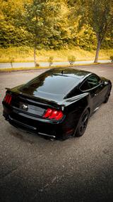 Ford Mustang / Shelby Komplett-Paket  - Ford: Shelby