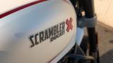 Ducati Scrambler Desert Sled - erst 8100 km im super Zu - DUCATI E SCRAMBLER
