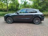 Porsche MACAN S / Vollleder / Luftfederung / BOSE / AHK - Porsche Macan in Wuppertal