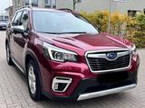 Subaru Forester Comfort - rote Subaru Forester