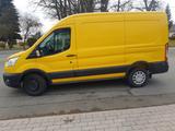 Ford Transit Kasten 330 L2H2 Mild Hybrid Regalsystem - Ford Transit: 330l