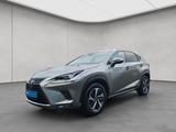 Lexus NX300h E-FOUR Luxury Line - Lexus: Nx