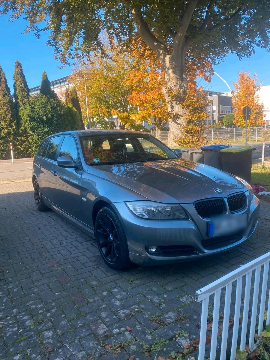 BMW 316 2010 — rear view