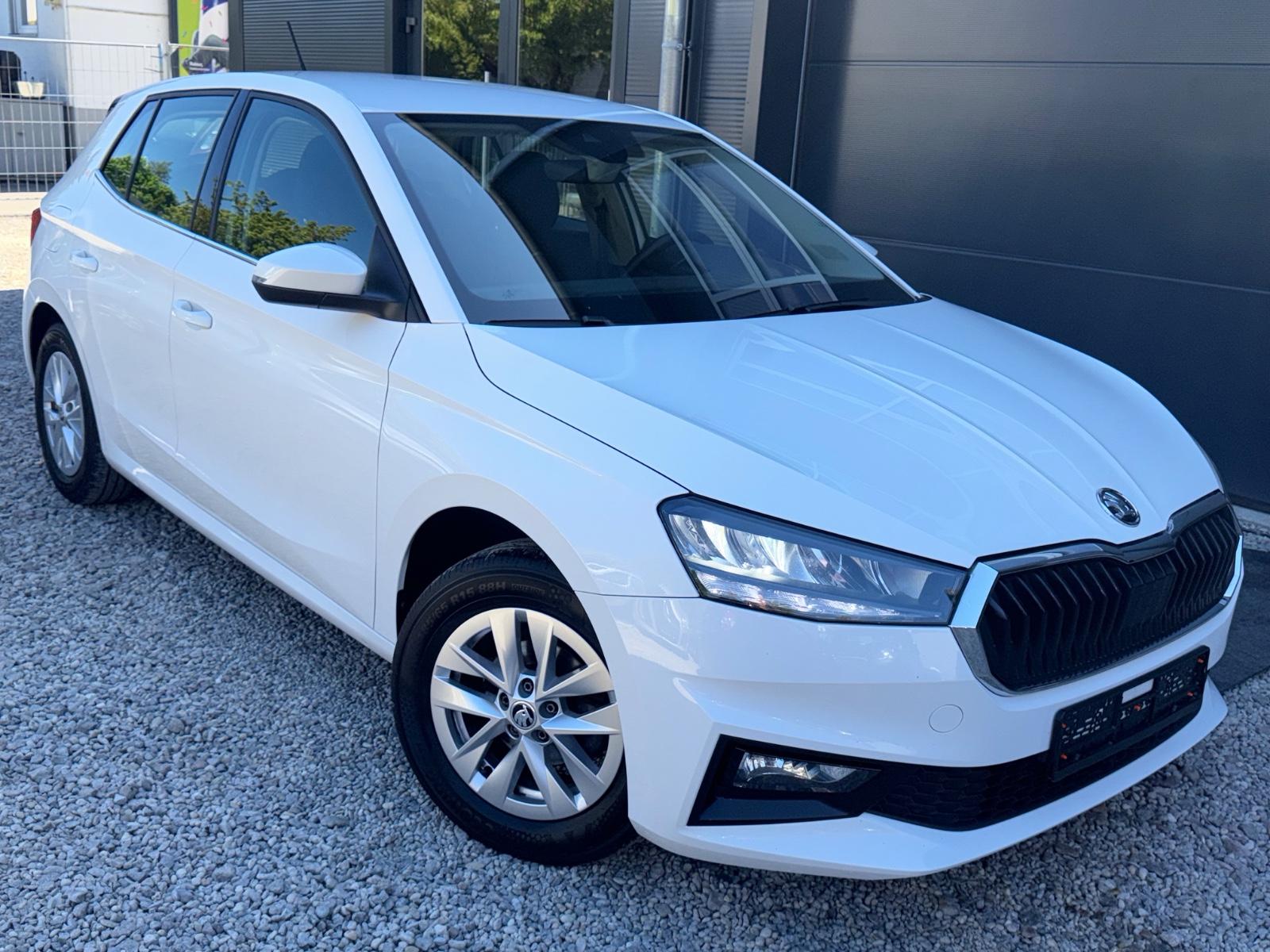 Skoda Fabia Style LED Scheinwerfer CarPlay DAB+ SHZ