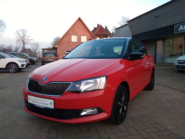 Skoda Fabia 1.0TSI Ambition*PDC*BT*8 Fach bereift