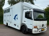 Mercedes-Benz Atego 817 4 Pferde Transporter LKW - Angebote