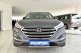 Hyundai Tucson Intro Edition 4WD 1.Hd Pano AHK Sitzluft - Hyundai: Edition