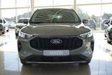Ford Kuga 1,5 186PS Aut.5*J.Gar/LED/Navi/Winterp.     - Ford Kuga Tageszulassungen