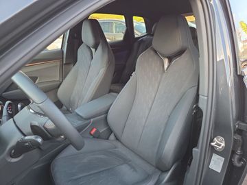 Cupra Terramar - 4