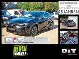 Lexus UX 300h F Sport Design Klimaaut., ACC,SpurH, LM - Lexus Jahreswagen