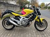 Suzuki SFV 650 Gladius 1 Jahr Gewährleistung - Suzuki Motorräder in Berlin