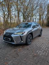 Lexus UX 250h - - Lexus UX aus 2020