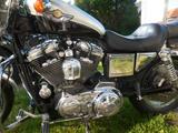 Harley-Davidson XL 1200 Sportster Custom. Jubiläumsmodell 100 J. - HARLEY-DAVIDSON 2003 SPORTSTER 1200