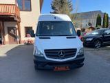 Mercedes-Benz Sprinter II Kasten 310/311/313/314/316 CDI - Mercedes-Benz Sprinter: 313 Cdi Kasten