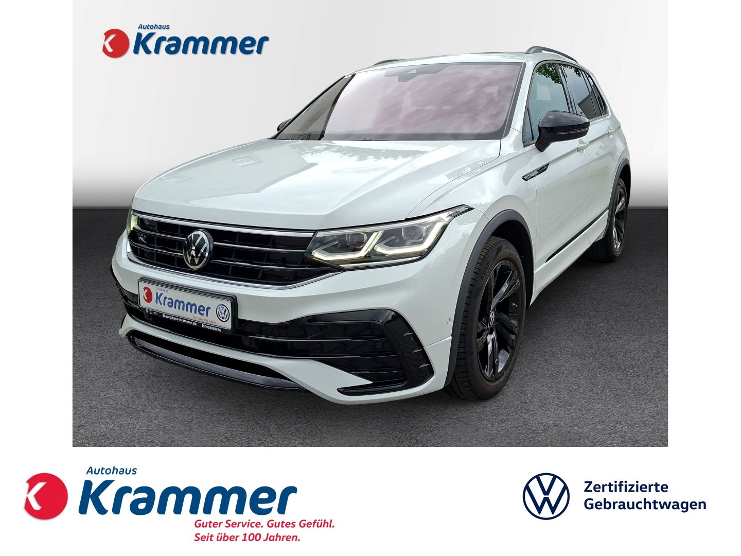 Tiguan 2.0 TSI DSG R-Line 4Motion *AHK*PANO*LEDE