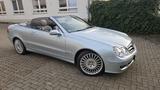 Mercedes-Benz CLK 280 AVANTGARDE  - Mercedes-Benz CLK