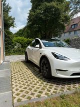 Tesla Model Y Performance - 8-fach bereift - Tesla Model Y aus 2024