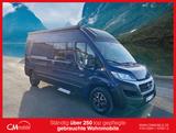 Weinsberg Cara Bus 600 MQ - 9 Gang Automatik -  Skyroof - - Wohnmobil oder -wagen Bus