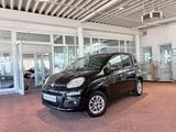 Fiat Panda 1.2 More Klima PDC BT Alu - Fiat Panda: More