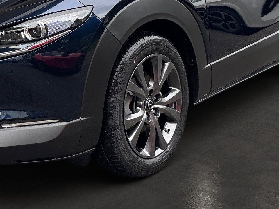 Fahrzeugabbildung Mazda CX-30 2.0i X 186PS A/T Takumi SUNR WLOP